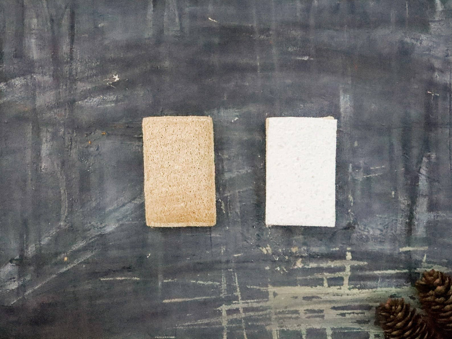 Eco Sponge - Whimsical Details - []