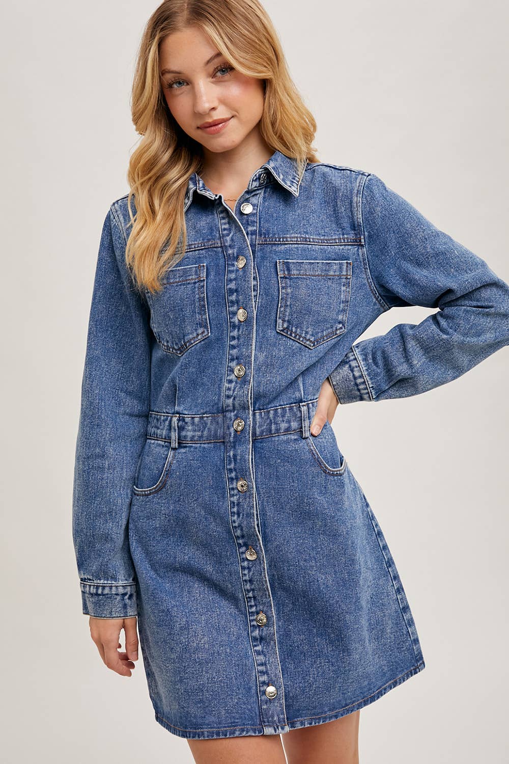 Denim Button Down Mini Dress - Whimsical Details - denim dress, Long sleeve, transition