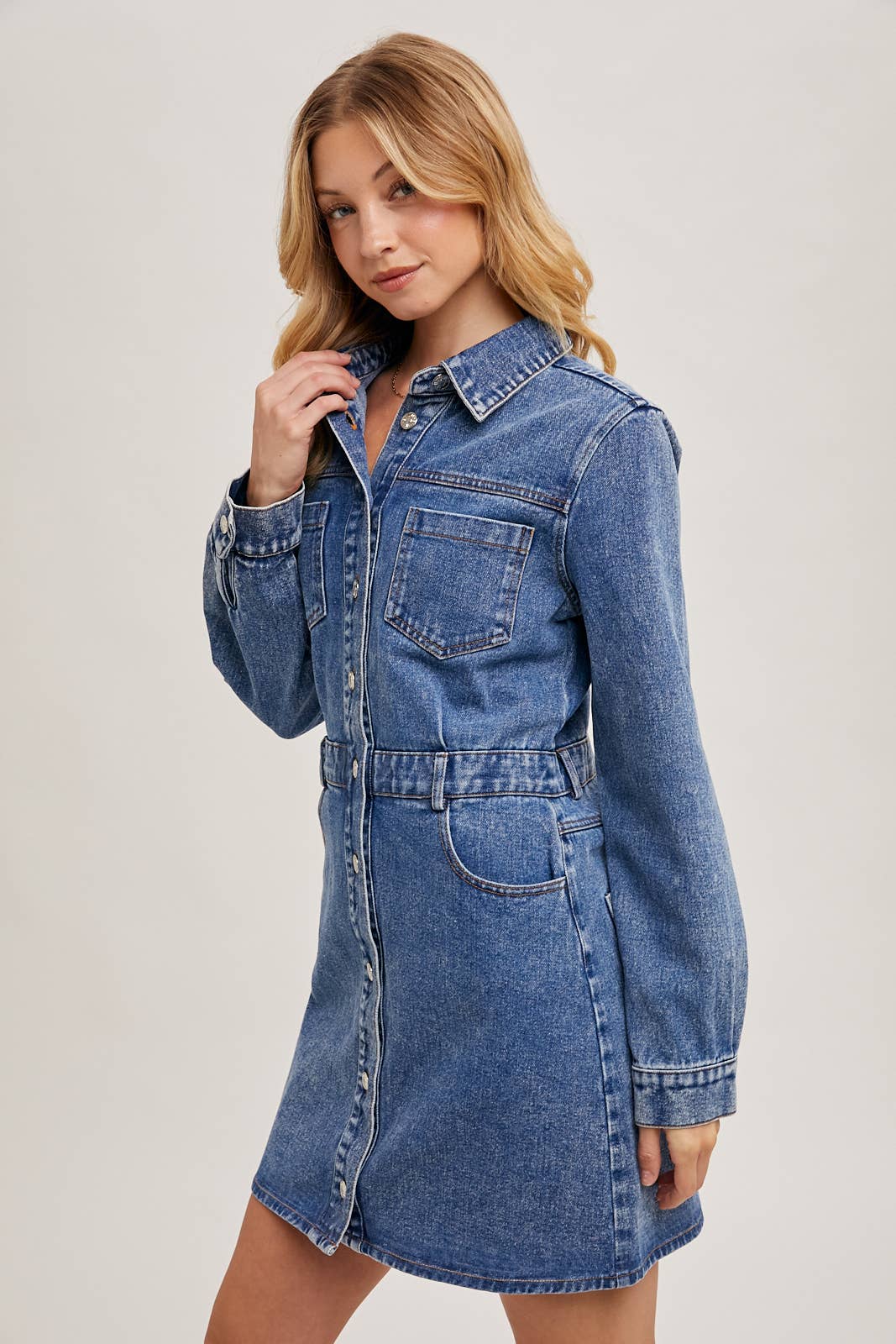 Denim Button Down Mini Dress - Whimsical Details - denim dress, Long sleeve, transition