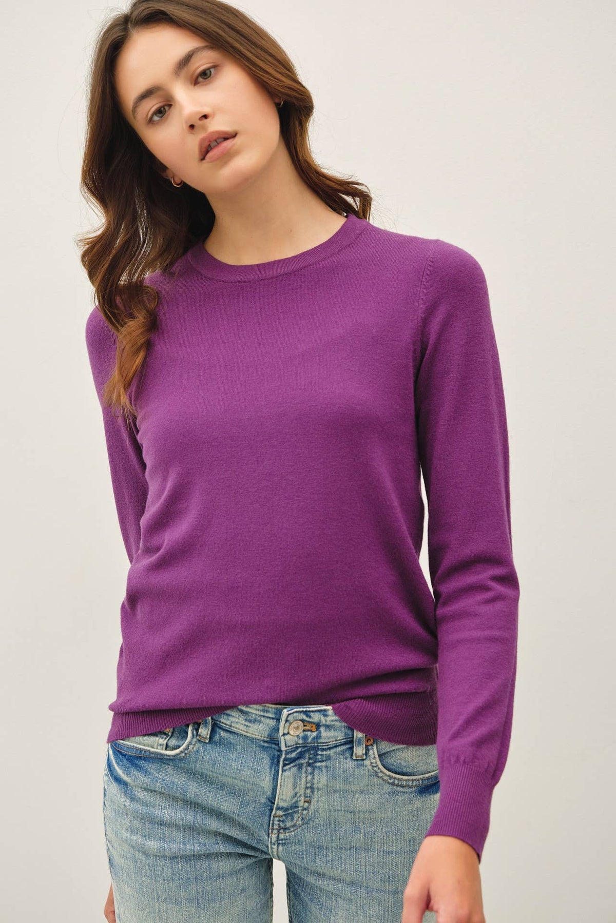Basic Crew Neck Soft Knit Sweater