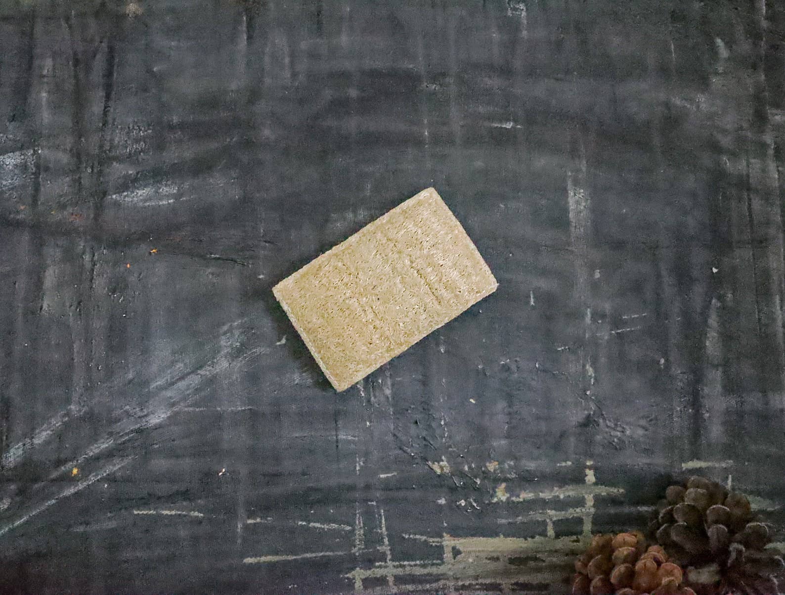Eco Sponge - Whimsical Details - []