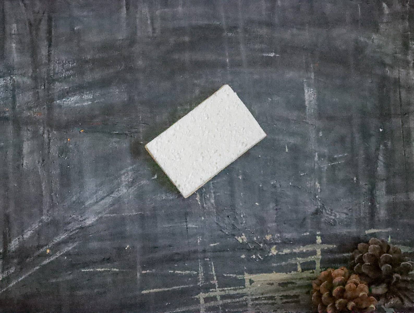 Eco Sponge - Whimsical Details - []