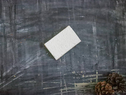 Eco Sponge - Whimsical Details - []