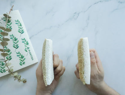 Eco Sponge - Whimsical Details - []