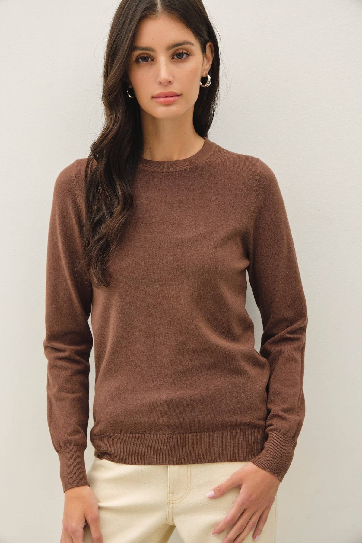 Basic Crew Neck Soft Knit Sweater