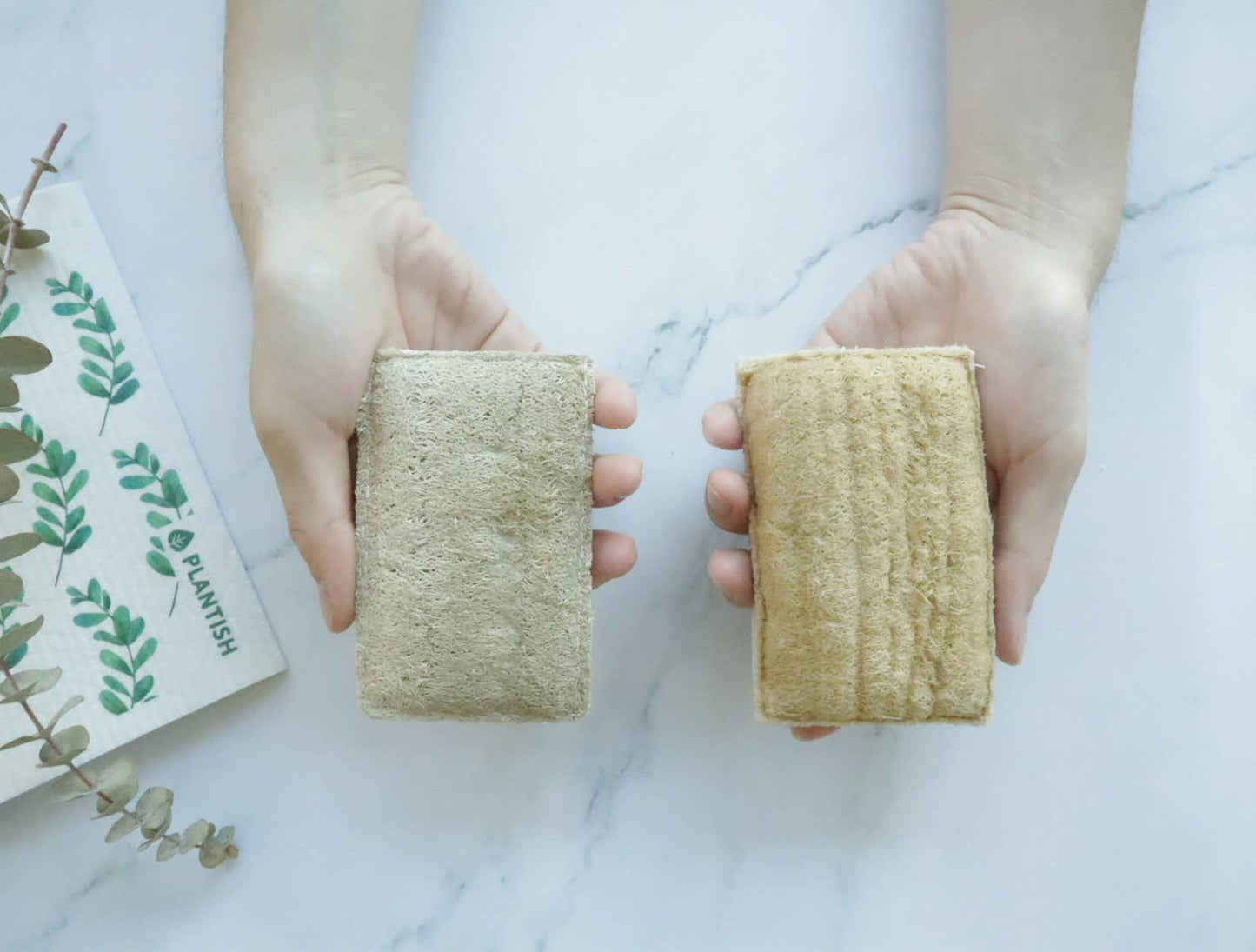 Eco Sponge - Whimsical Details - []