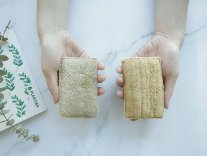 Eco Sponge - Whimsical Details - []