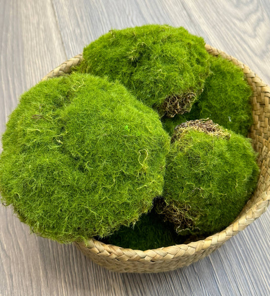 Pack of 6-Large Lifelike Mixed Sizes Artificial Moss ball