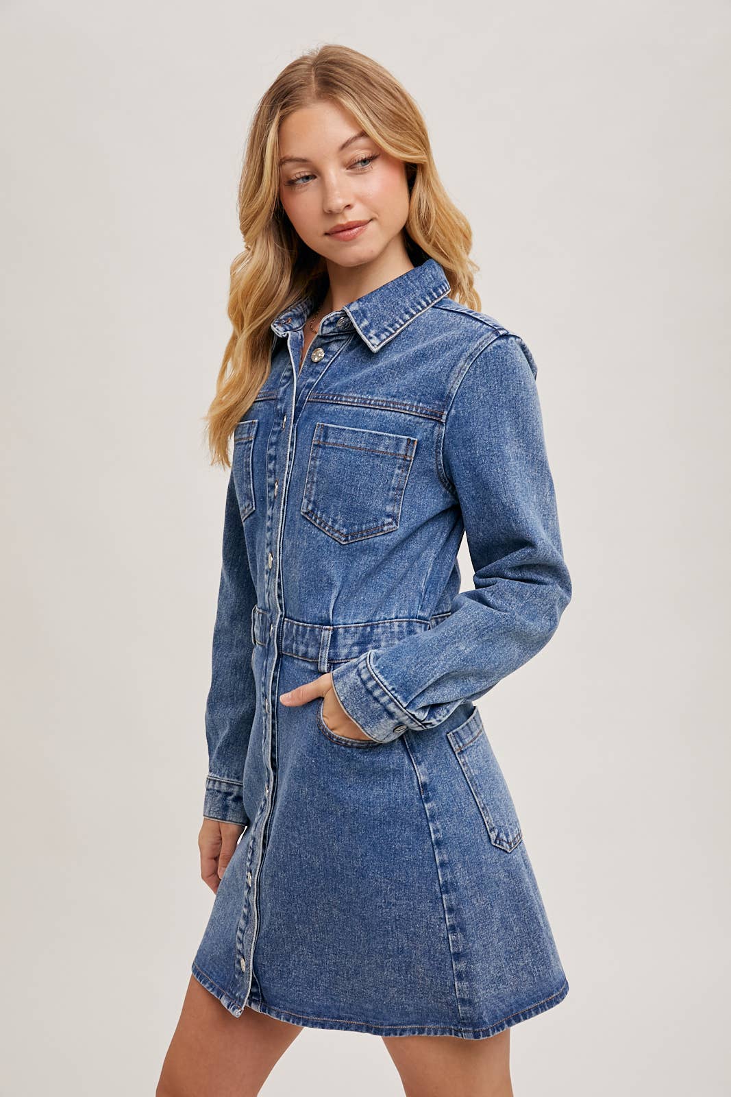 Denim Button Down Mini Dress - Whimsical Details - denim dress, Long sleeve, transition