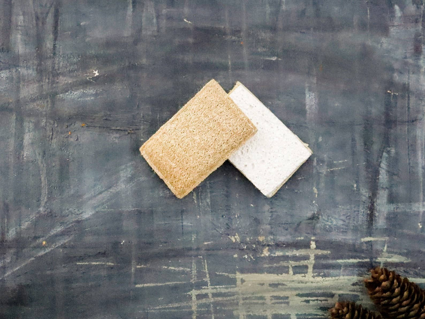 Eco Sponge - Whimsical Details - []