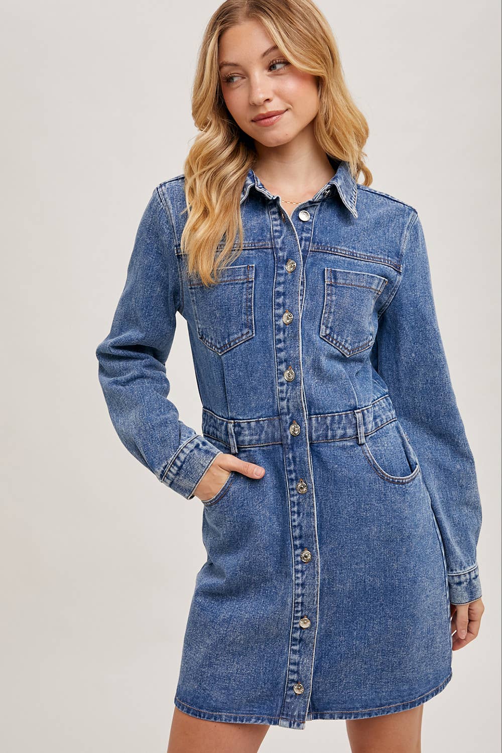 Denim Button Down Mini Dress - Whimsical Details - denim dress, Long sleeve, transition