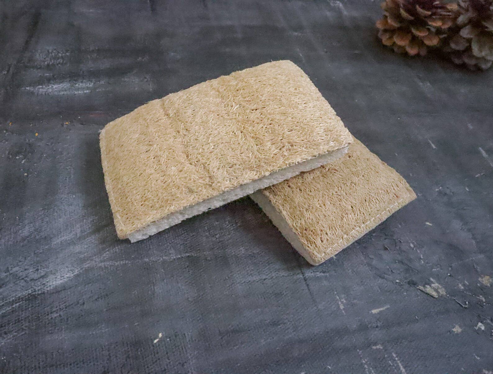 Eco Sponge - Whimsical Details - []